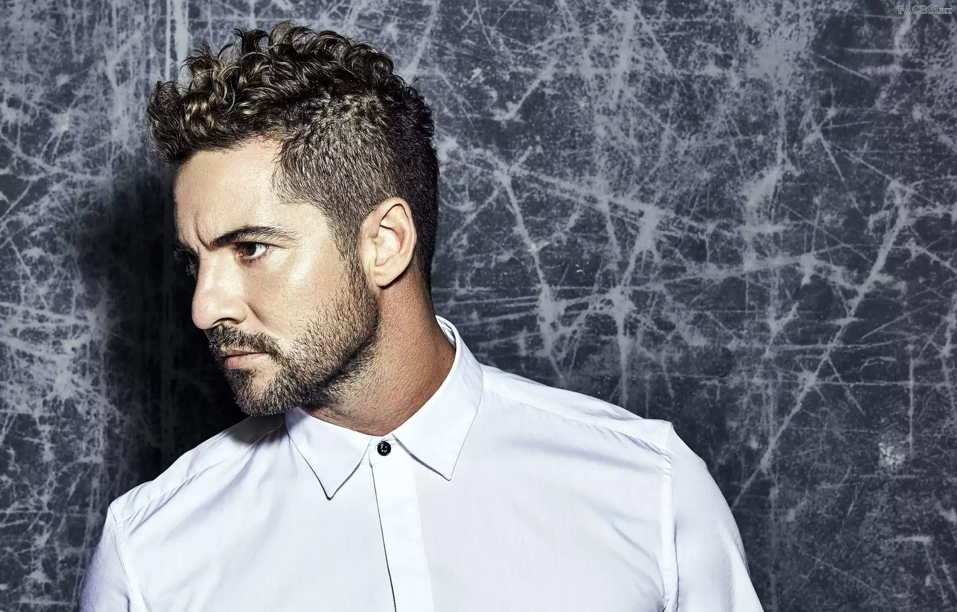 Piosenkarz, Mężczyzna, David Bisbal Ferre, Hiszpania